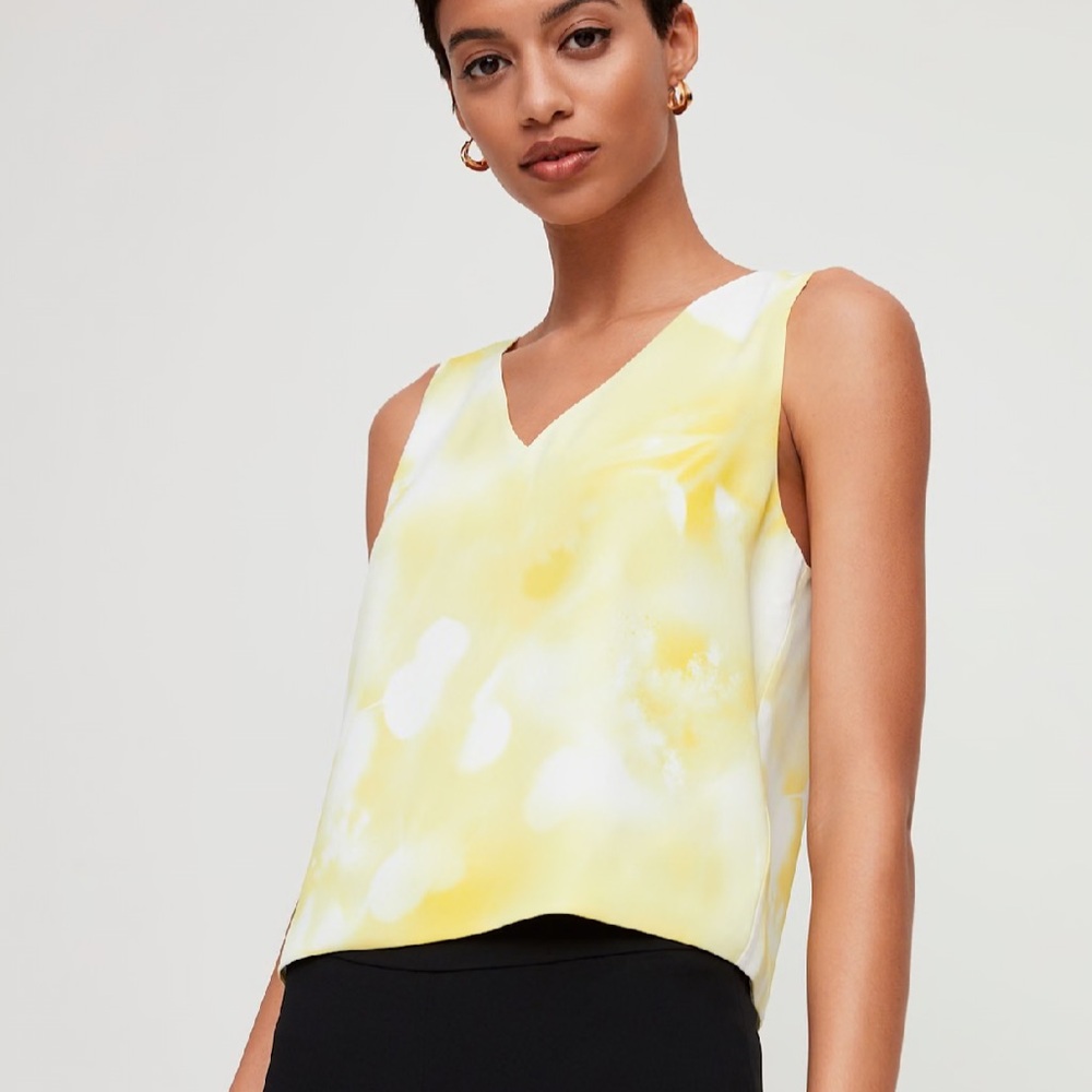 Babaton | Murphy Blouse
